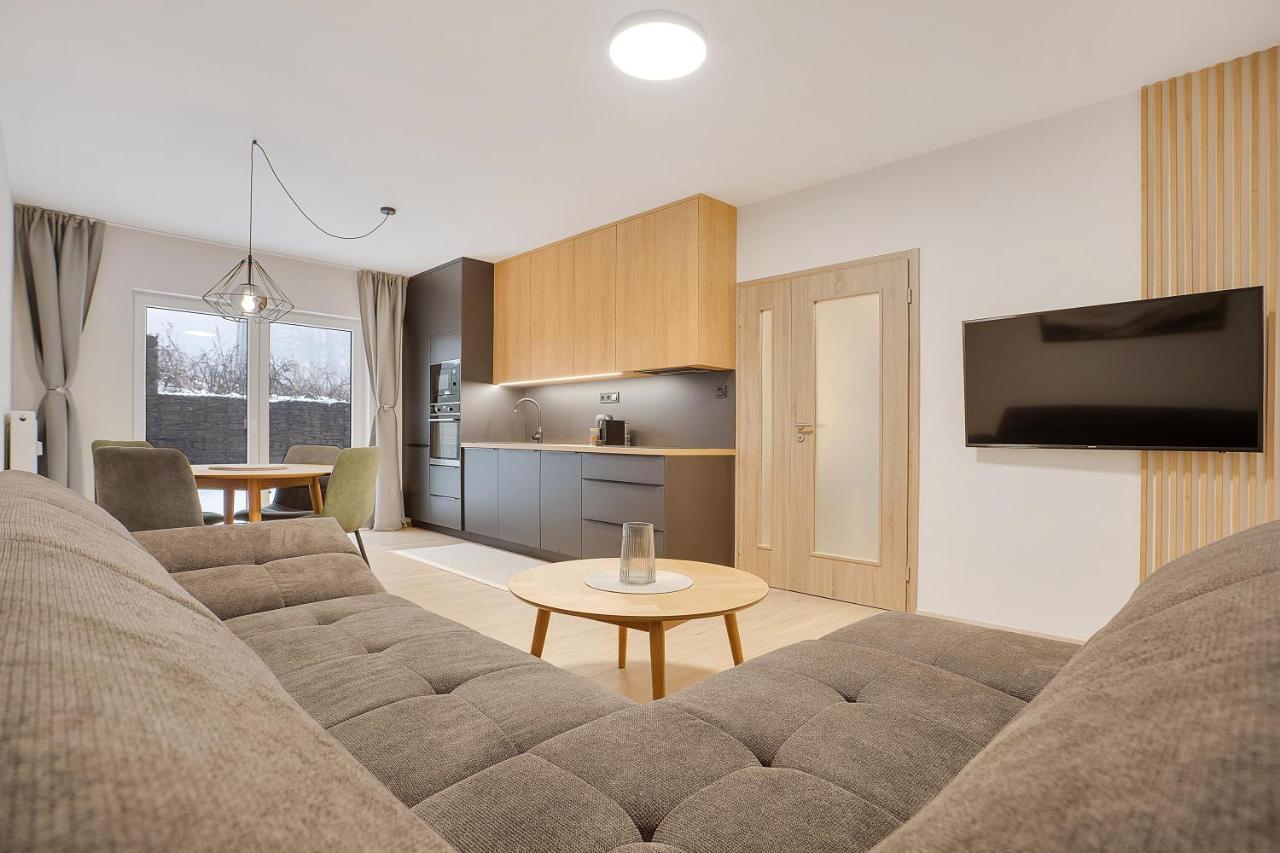 Apartmán Krusnohorske Strane Loučná pod Klínovcem Exteriér fotografie